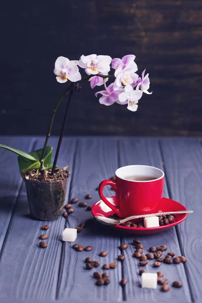 Coffee with orchid — Stock Photo, Image