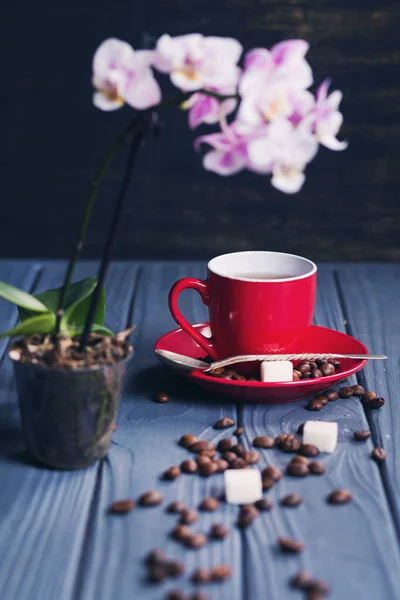 Coffee with orchid — Stock Photo, Image