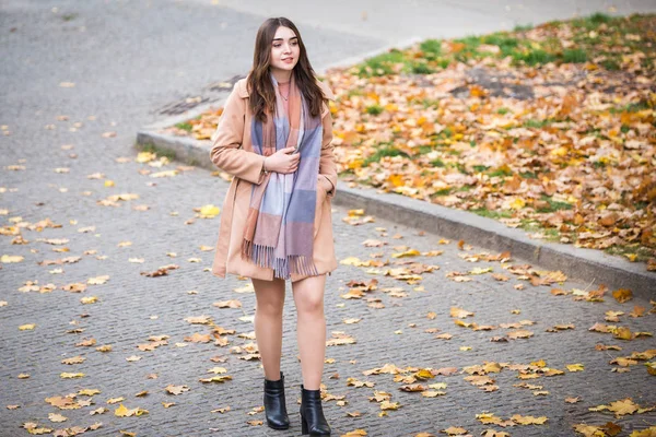 Donna elegante nel parco autunnale — Foto Stock