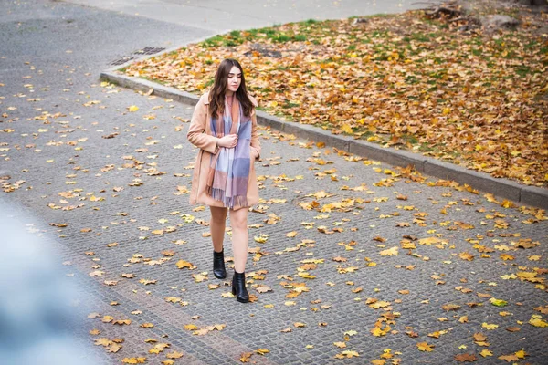 Donna elegante nel parco autunnale — Foto Stock