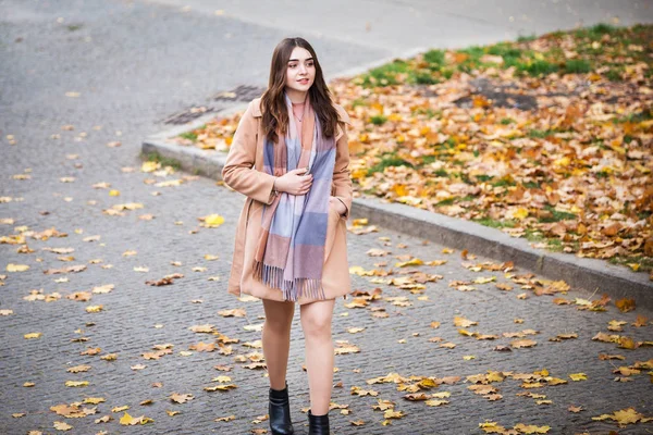 Mujer elegante en el parque de otoño — Foto de Stock