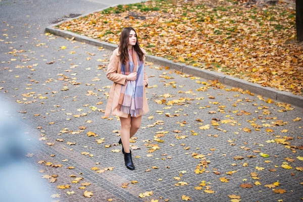 Mujer elegante en el parque de otoño — Foto de Stock