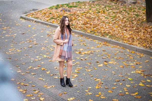 秋の公園でスタイリッシュな女性 — ストック写真