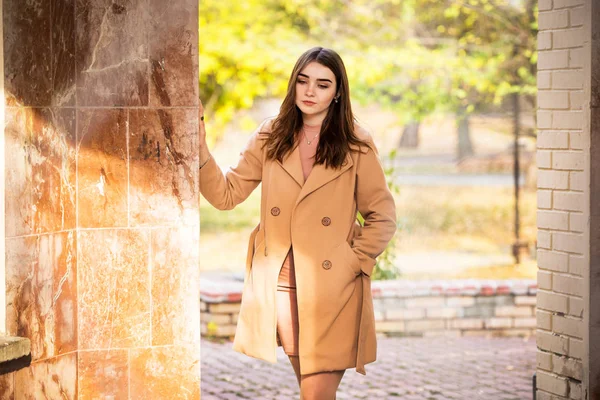 Donna elegante nel parco autunnale — Foto Stock