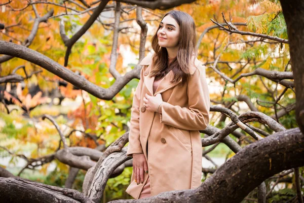 Stilvolle Frau im Herbstpark — Stockfoto