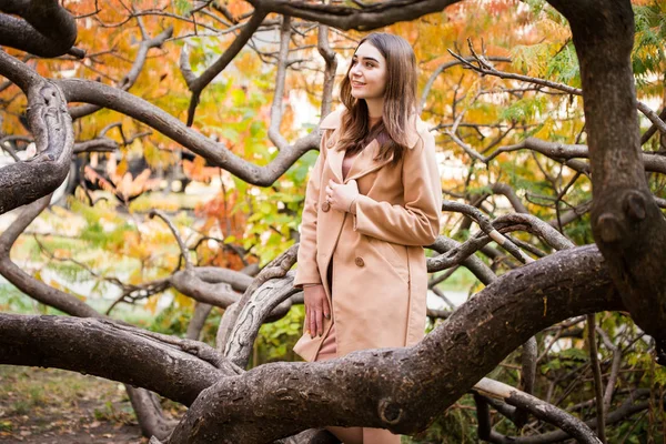 Donna elegante nel parco autunnale — Foto Stock