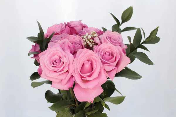 Bouquet of Pink Roses on a White Background — Stock Photo, Image