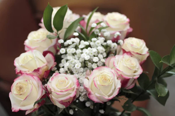 Белые розы с красными бликами крупным планом — стоковое фото
