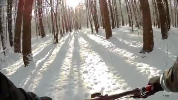 Cykling i snöig skog — Stockvideo