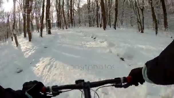 Cykling i snöig skog — Stockvideo