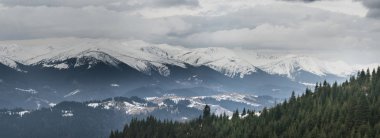 Chornohora ridge parçası. Bahar.