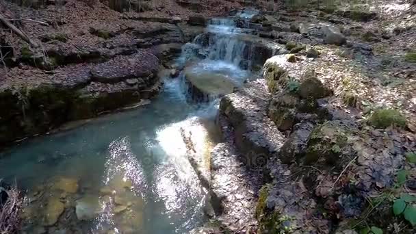 Litet vattenfall på creek — Stockvideo