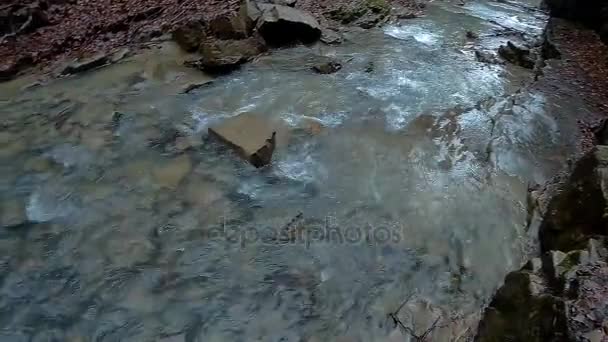 Maniavskii vattenfall i Gorgany — Stockvideo