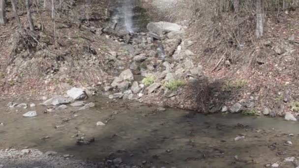 Vattenfall på creek. Vatten droppe vattenfall — Stockvideo