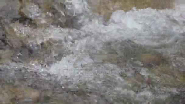 Flusso d'acqua nel fiume montagnoso — Video Stock