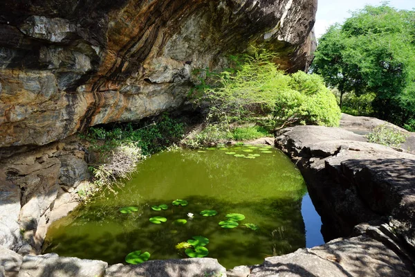 在如景点狮子岩岩石在斯里兰卡的小池塘 — 图库照片