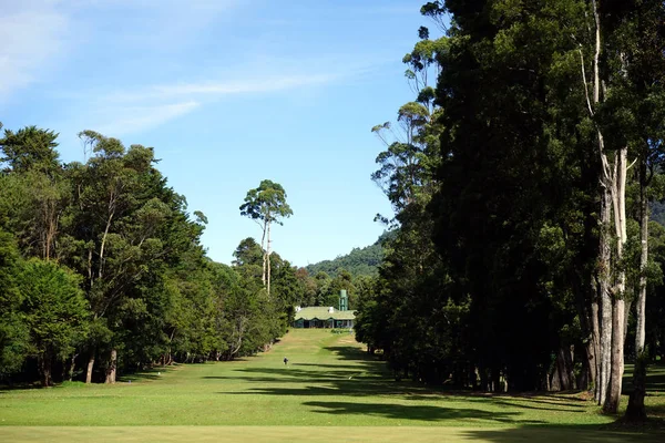 Nuwara Eliya Golf Sahası