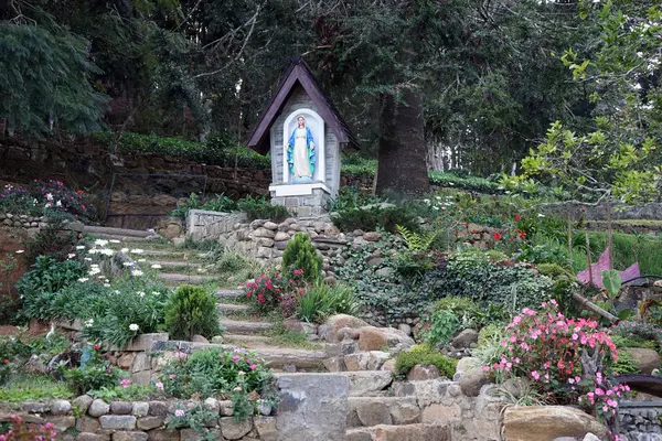 Garden in monastery — Stock Photo, Image