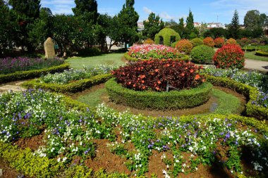 Çiçek bahçesinde Dalat