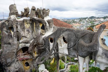 Dalat çılgın evde