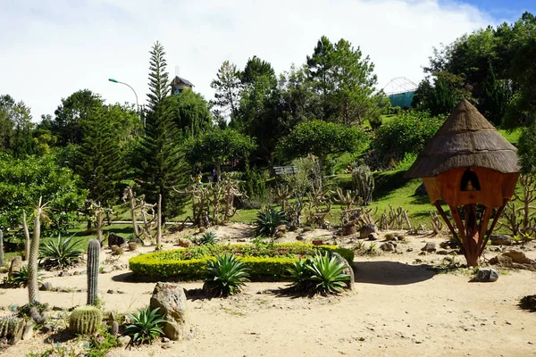 Cactos no jardim de flores — Fotografia de Stock