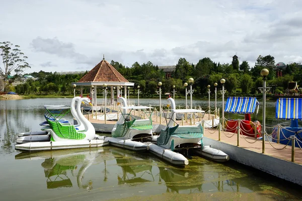 Cisnes en jardín de flores — Foto de Stock