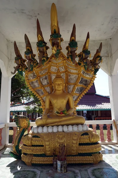 Buddha and Naga — Stock Photo, Image