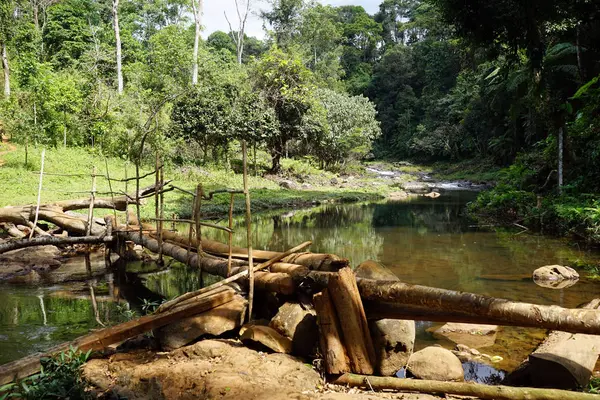 Puente y río de madera —  Fotos de Stock