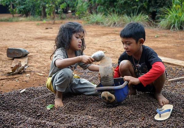 Enfants sur le tas de café — Photo