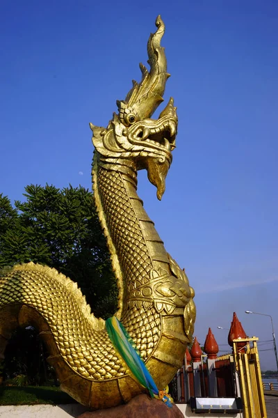 Golden snake Naga — Stock Photo, Image
