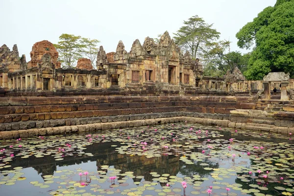 Pond with lotuses — Stock Photo, Image