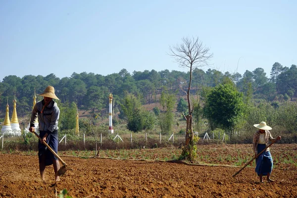 Agricultores em campo — Fotografia de Stock