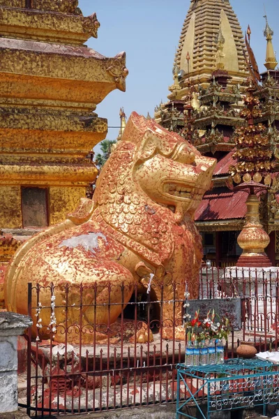 Lion chinte in Myanmar — Stock Photo, Image