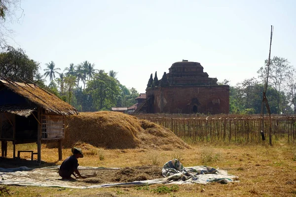 Kvinna arbete i Myanmar — Stockfoto