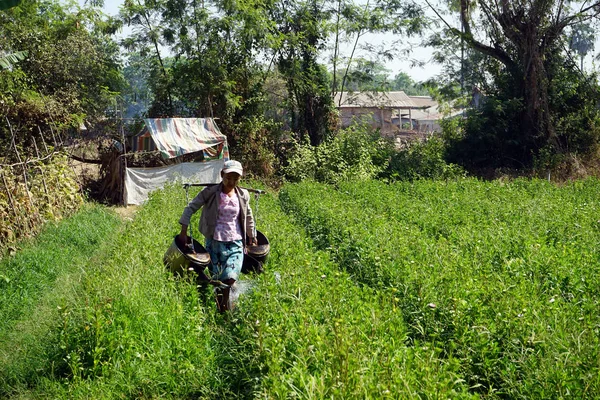 Travail de femme dans le village — Photo