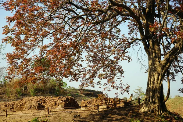 在缅甸的古城墙 — 图库照片