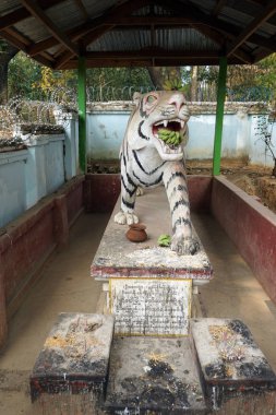 Hsipaw koruyucu ruhu