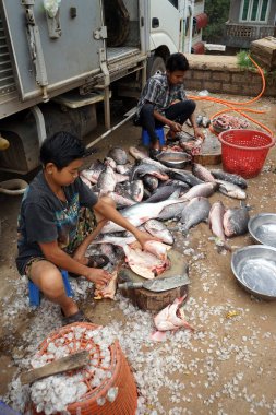 Lashio balık pazarında