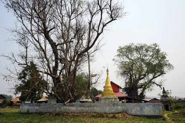Wielkie drzewo i stupa — Zdjęcie stockowe