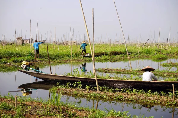 Agricultores em uma horta — Fotografia de Stock