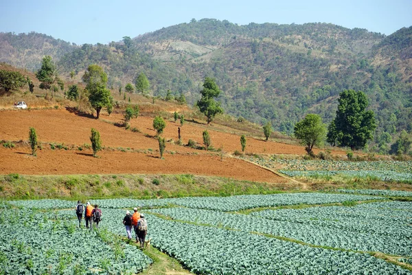 穿过田野和山的跟踪 — 图库照片