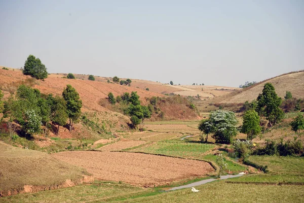 Campi e colline — Foto Stock