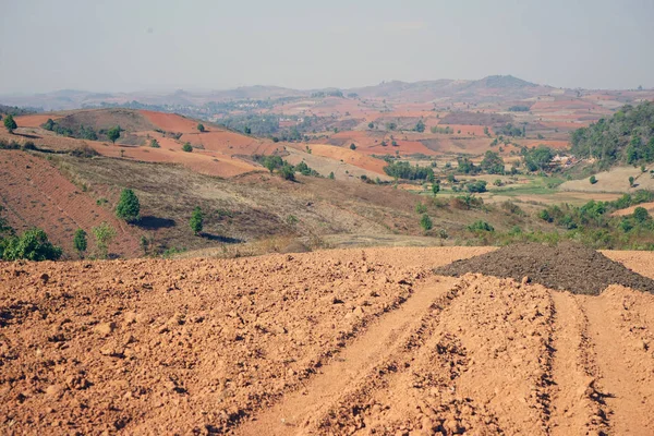 Bright soil in the fields — Stock Photo, Image