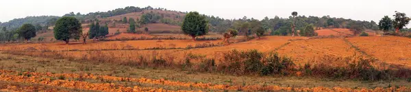 在缅甸的红色土壤 — 图库照片