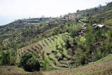 Teras ve dağ köyünde