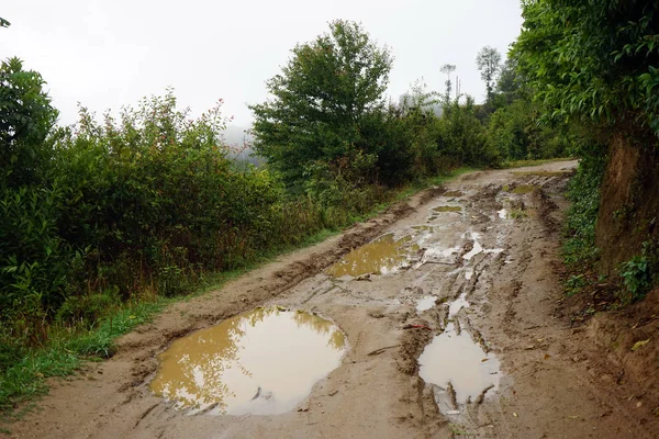 潮湿的泥土路 — 图库照片