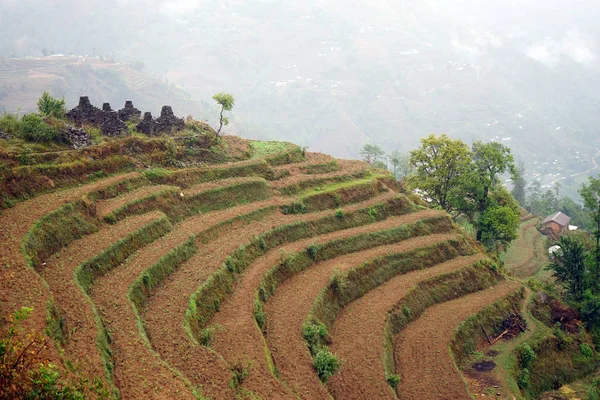 Stupas and terraces — Stock Photo, Image