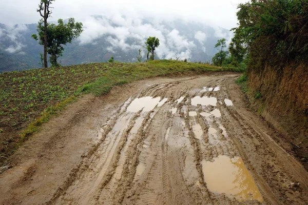 Estrada de terra húmida — Fotografia de Stock