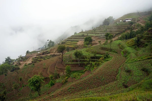 Niebla y terrazas —  Fotos de Stock