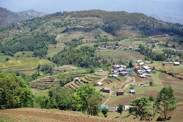 梯田和村庄在山 — 图库照片
